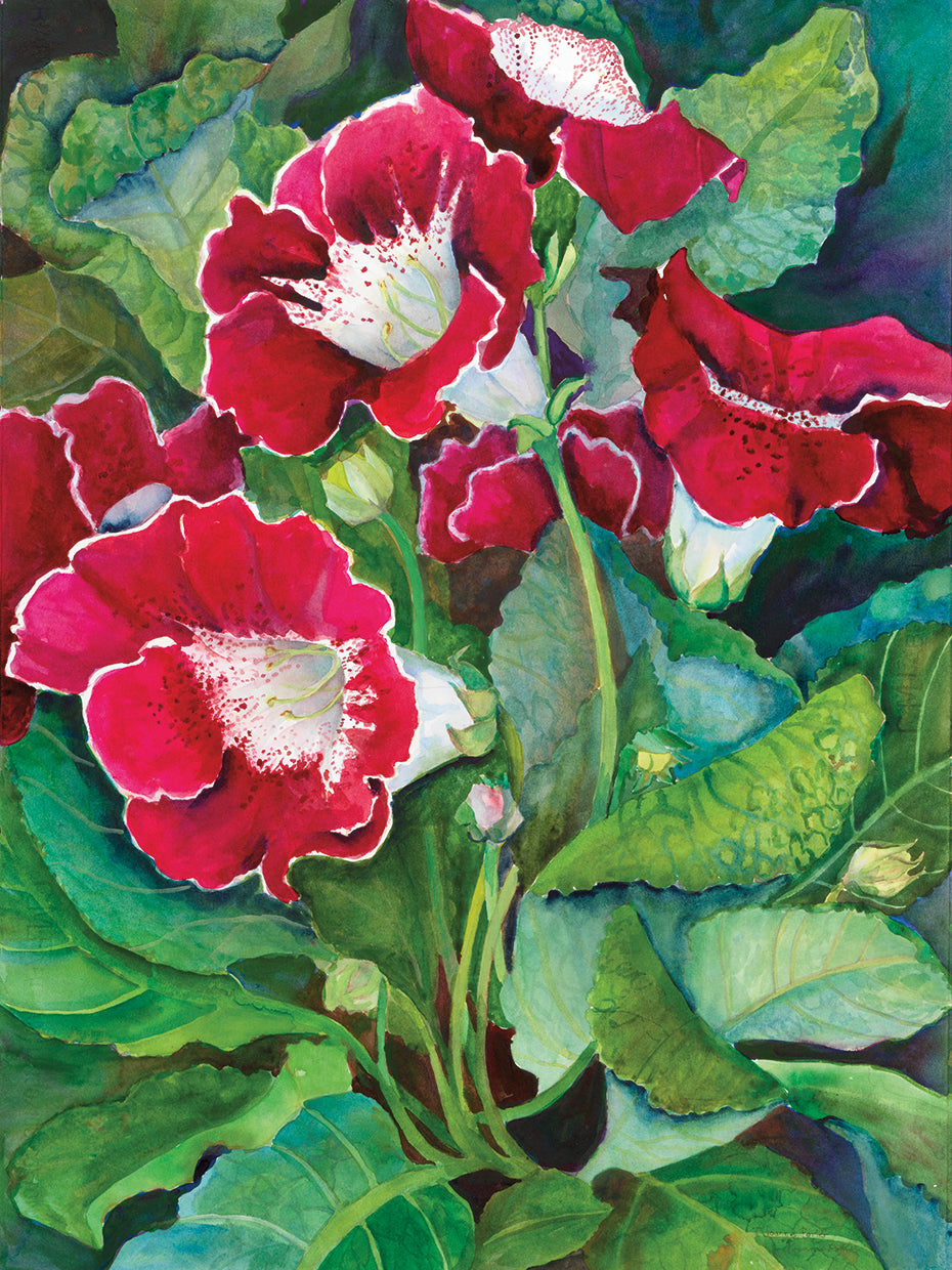 Red Gloxinia