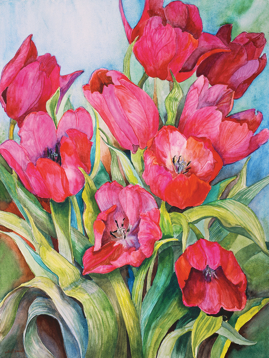 Red Tulips