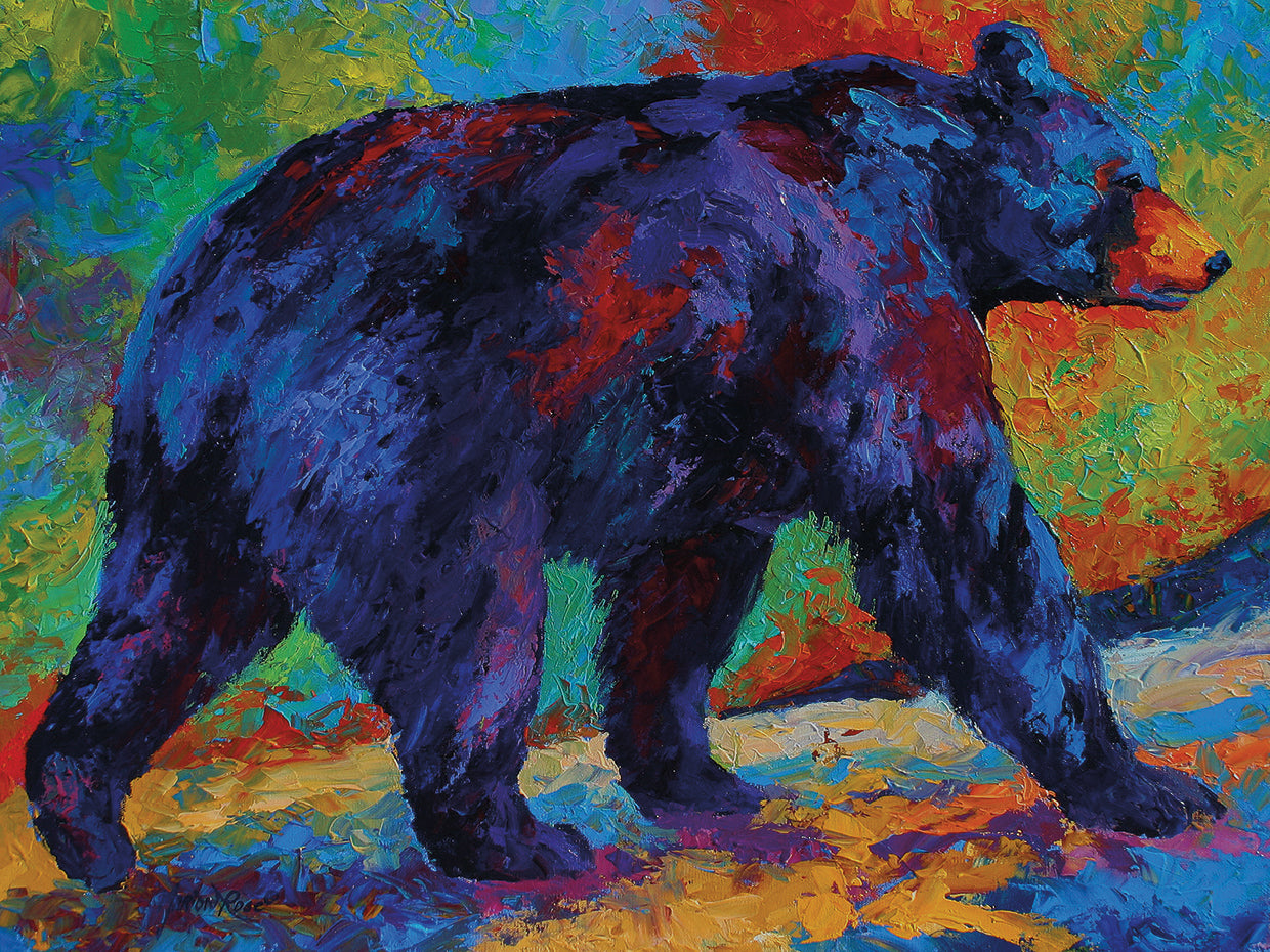 Black Bear 3