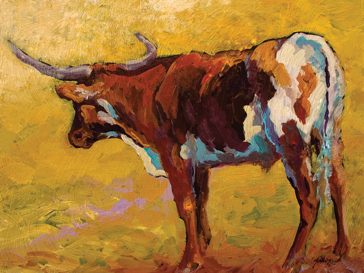 Longhorn back Portrait