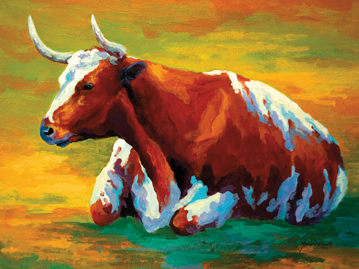 Longhorn Cow