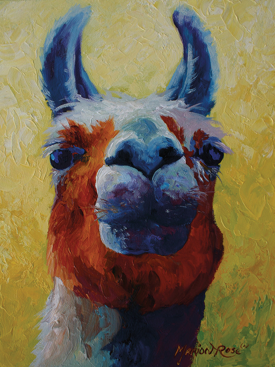 Llama I