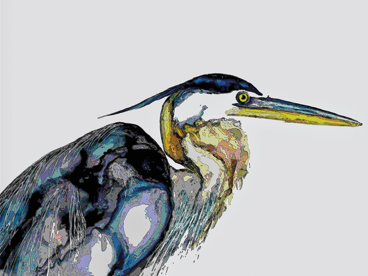 Blue Heron