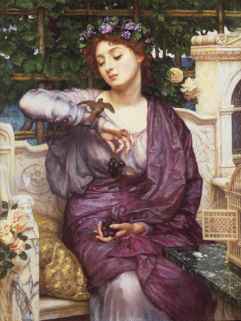 Poynter-Libra and Sparrow