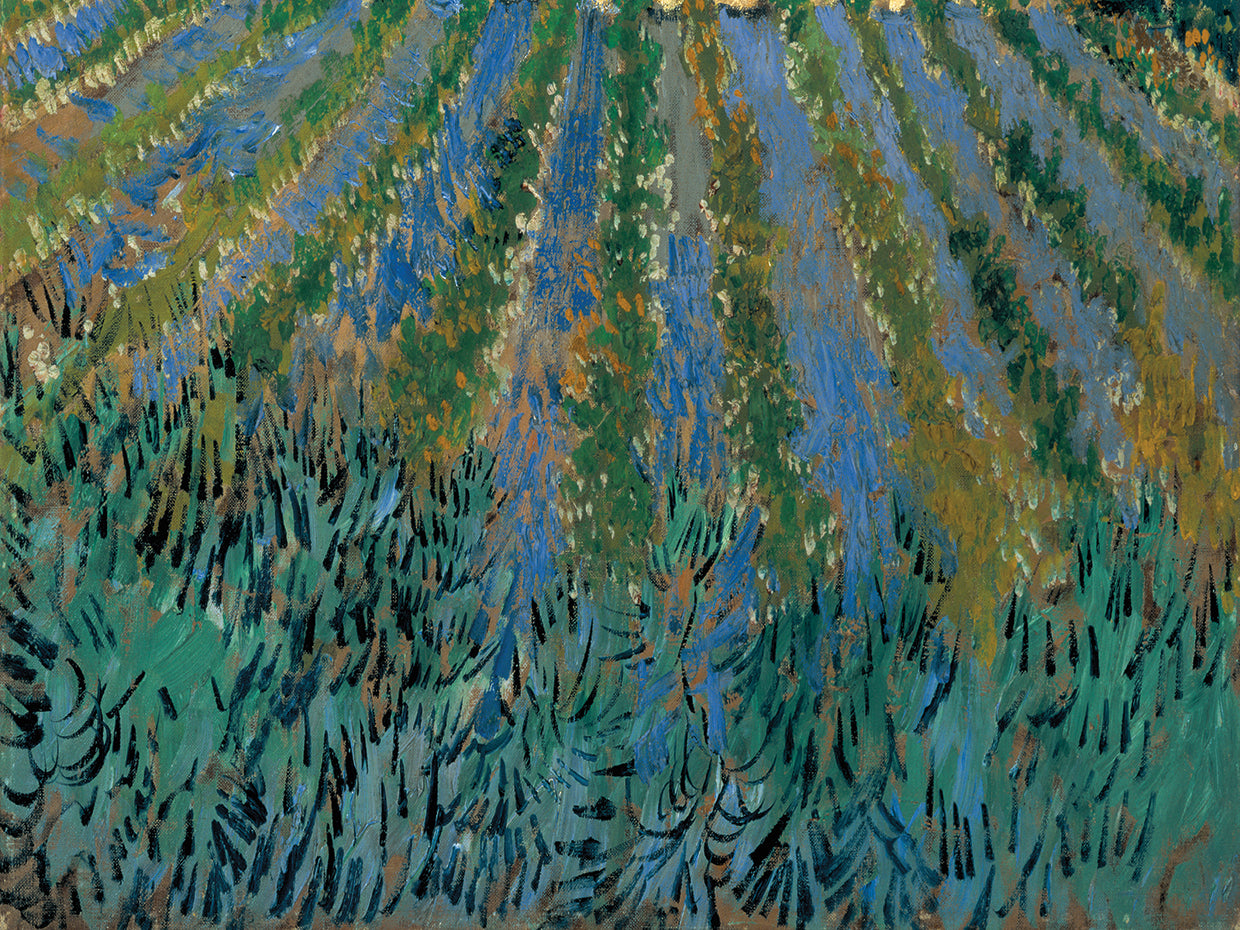 Van Gogh-Lavender at Saintes-Maries