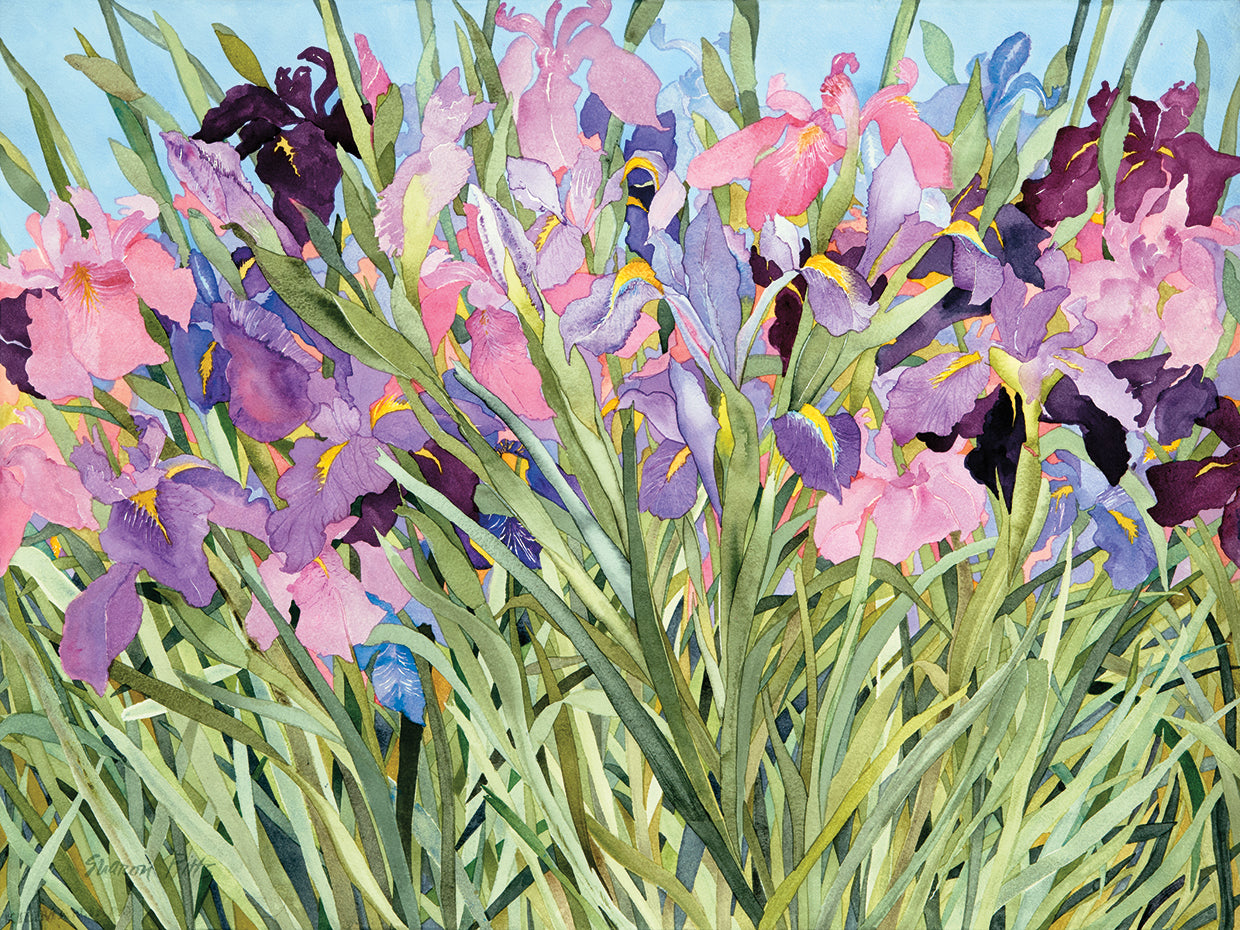 Iris Jardín X Lienzo