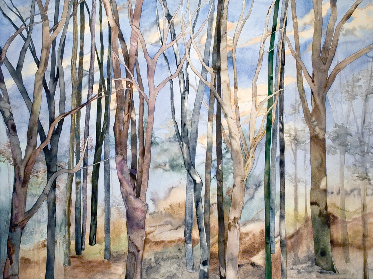 A través del arte de la lona de los árboles