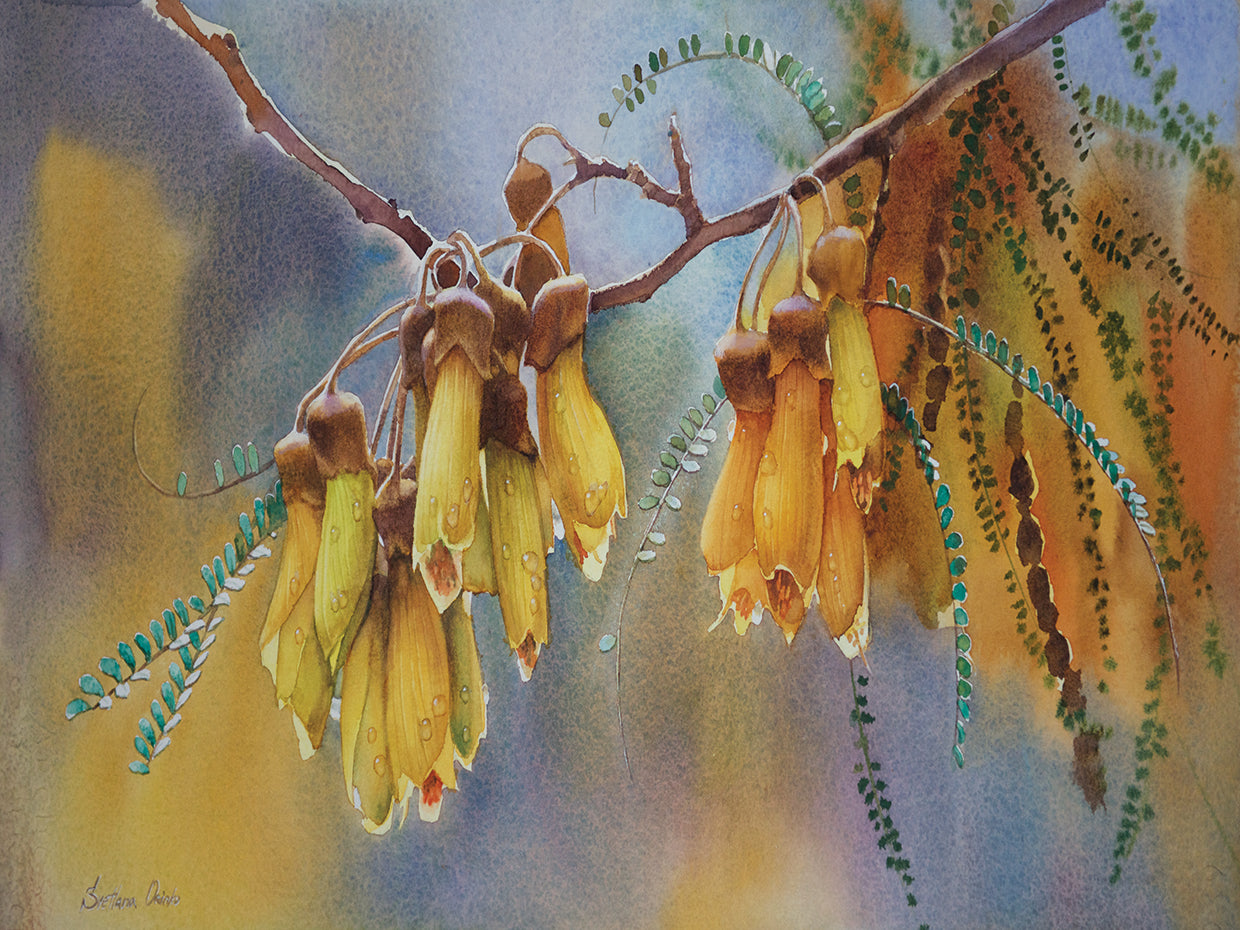 Arte de la lona de las flores del árbol de Kowhai II