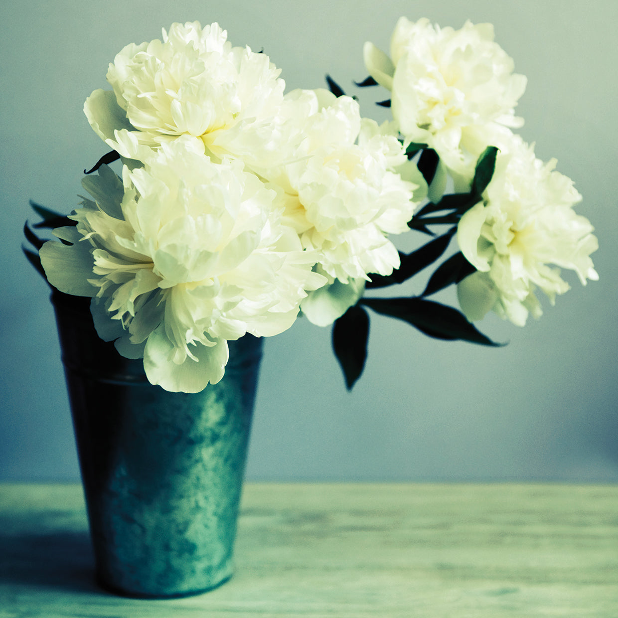 Bunch of White Peonies in Vase