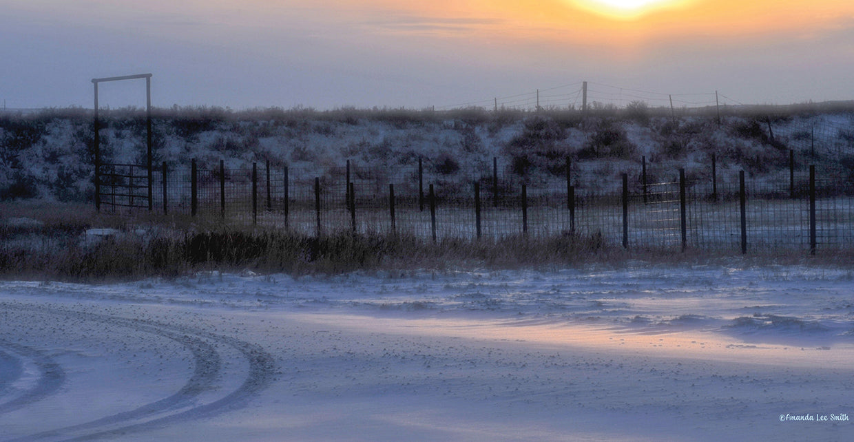 Early Morning Winter