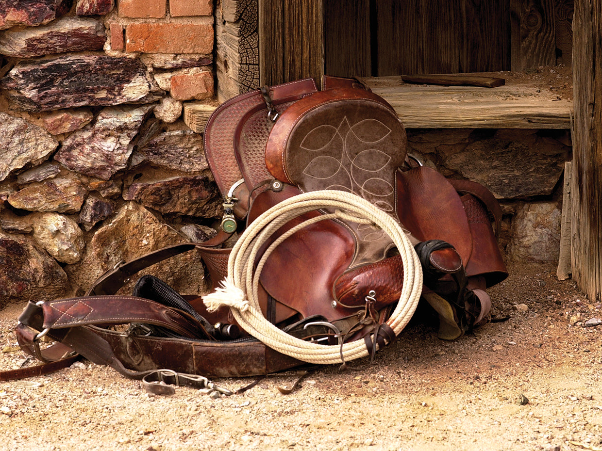 Head Wrangelrs Saddle