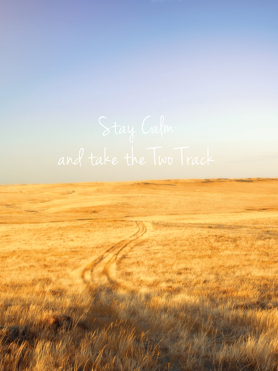 Stay Calm And Take The Two Track