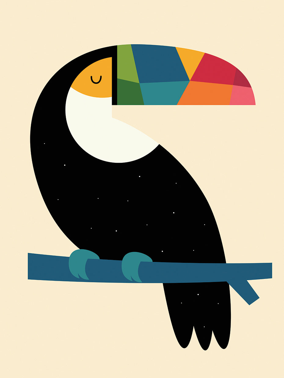 Rainbow Toucan
