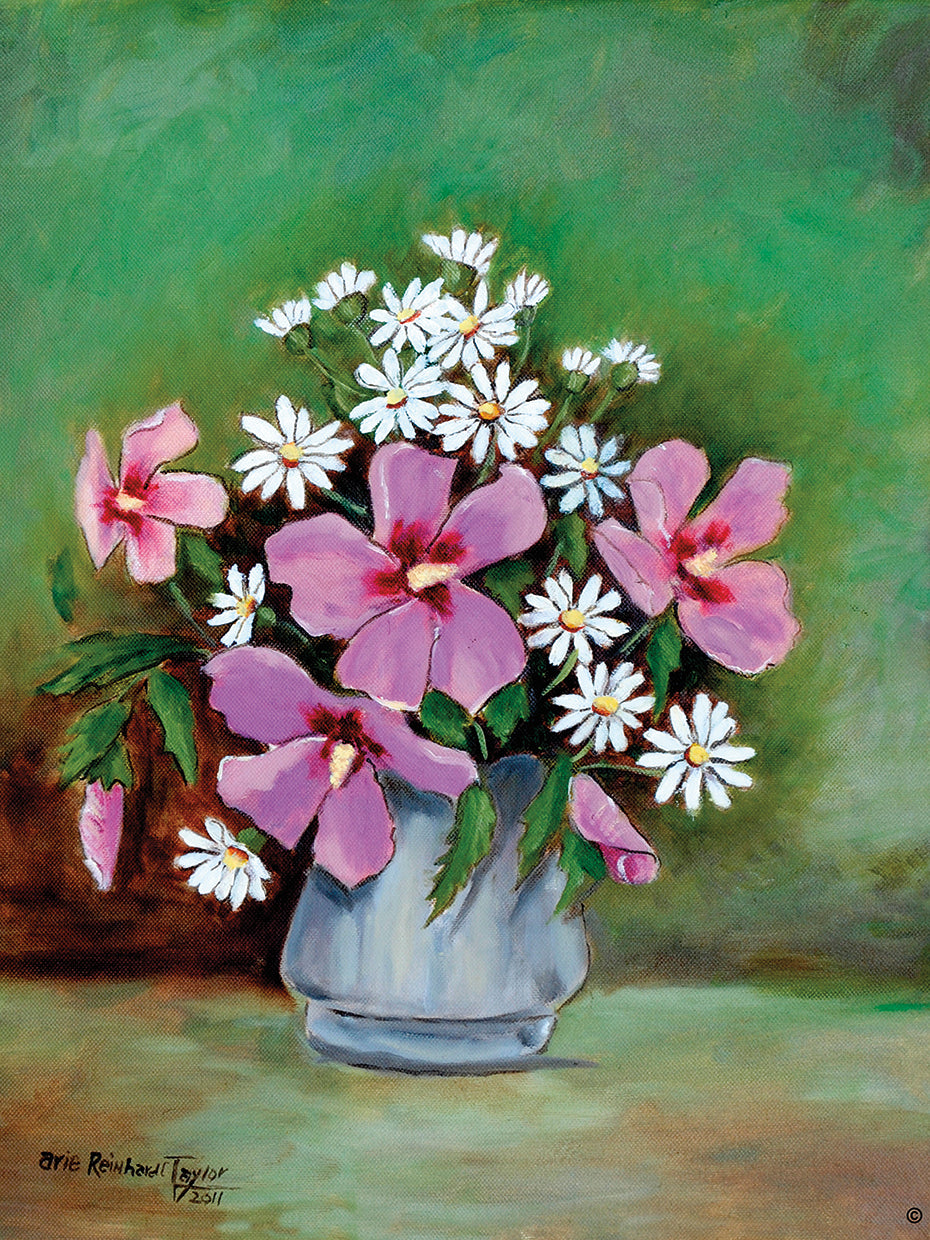 Hibiscus and Daisies