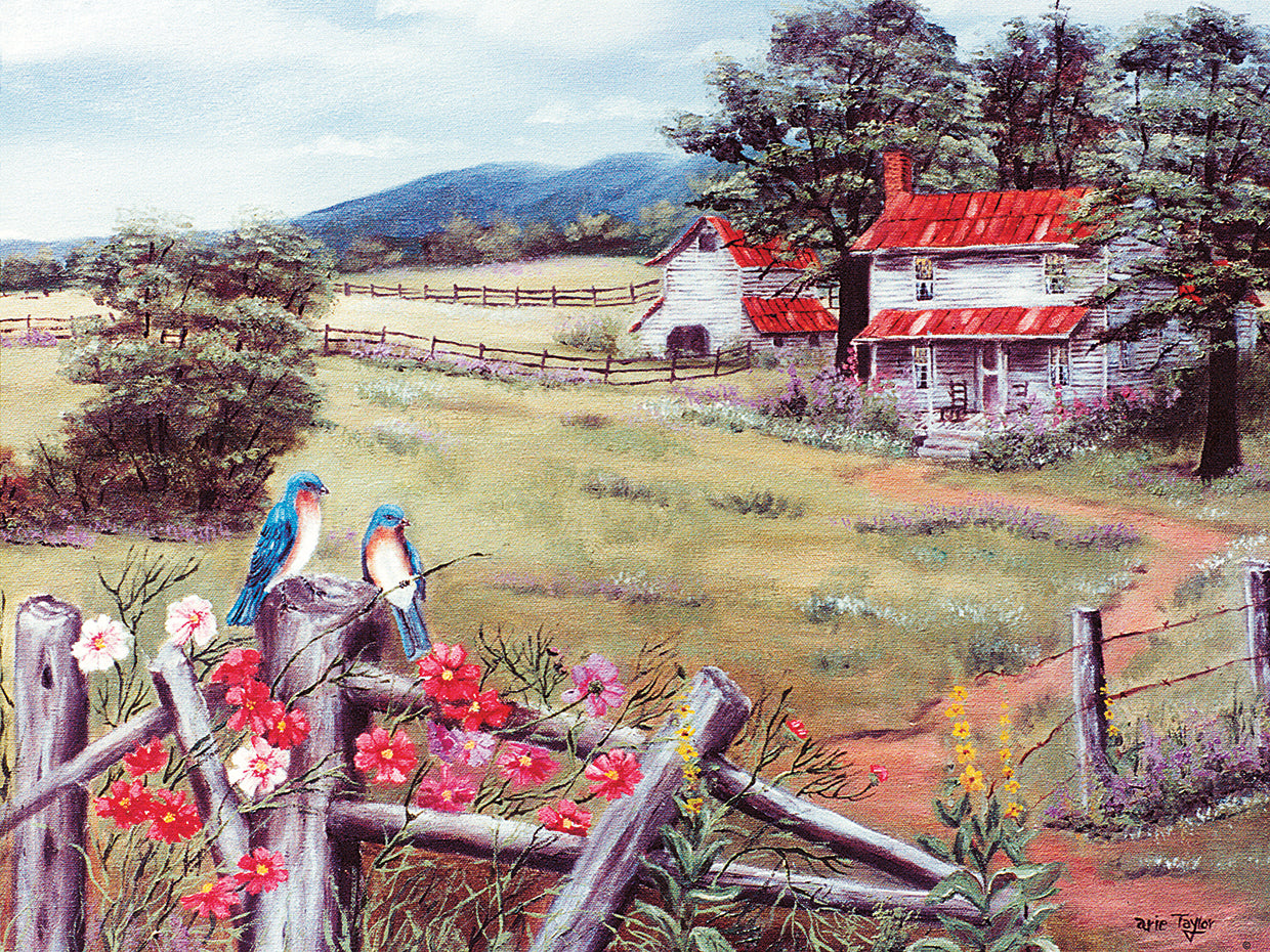 Bluebirds And Baker's Mtn