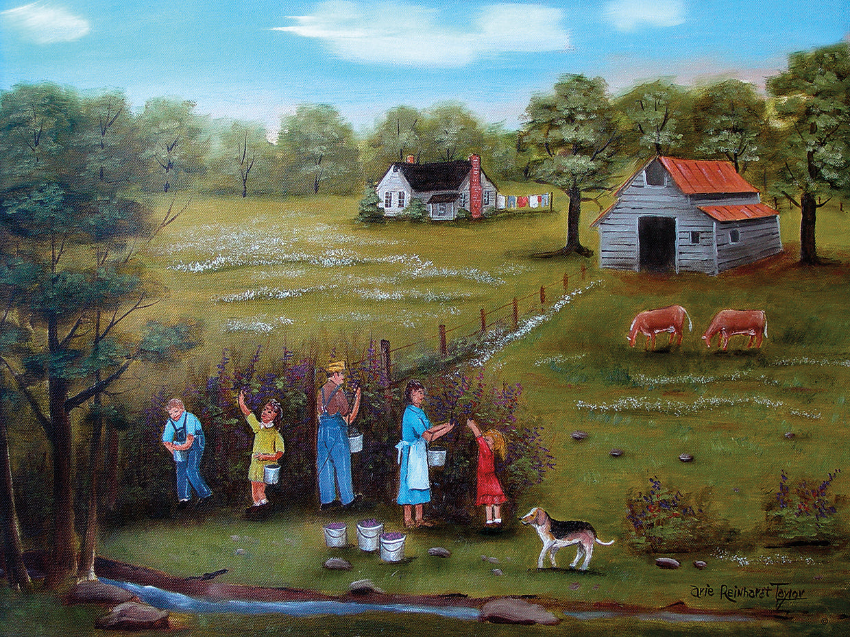 Pickin' Blackberries 6