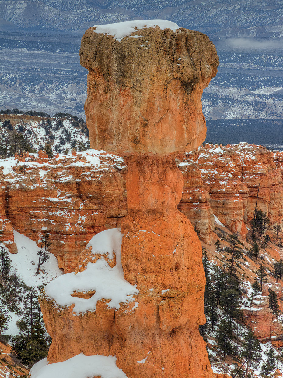 A Pillar Of Strength