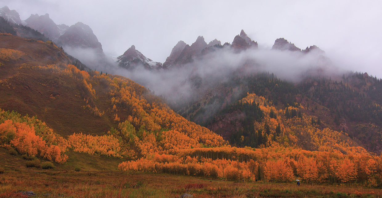 A Walk In The Autumn Mist
