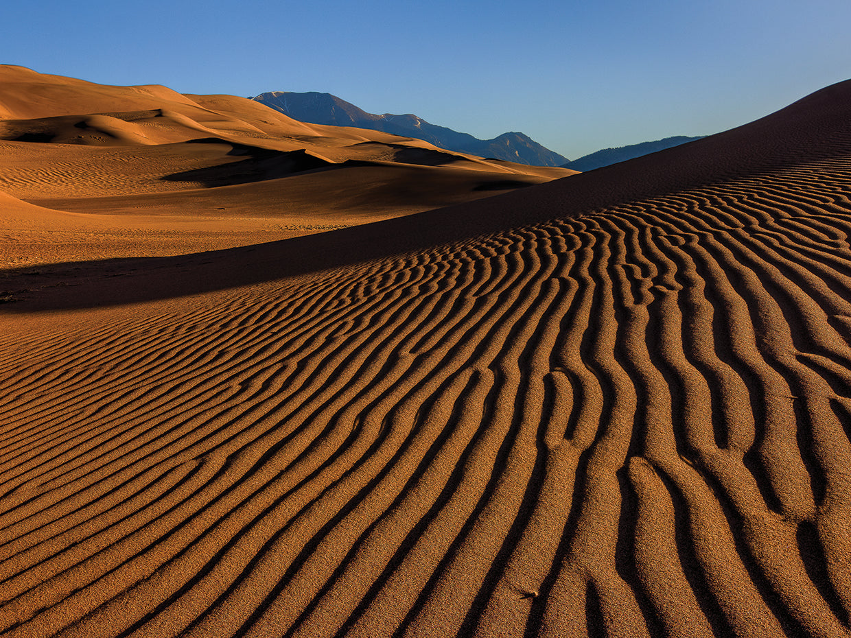 Guijarro en una duna de arena Arte de la lona