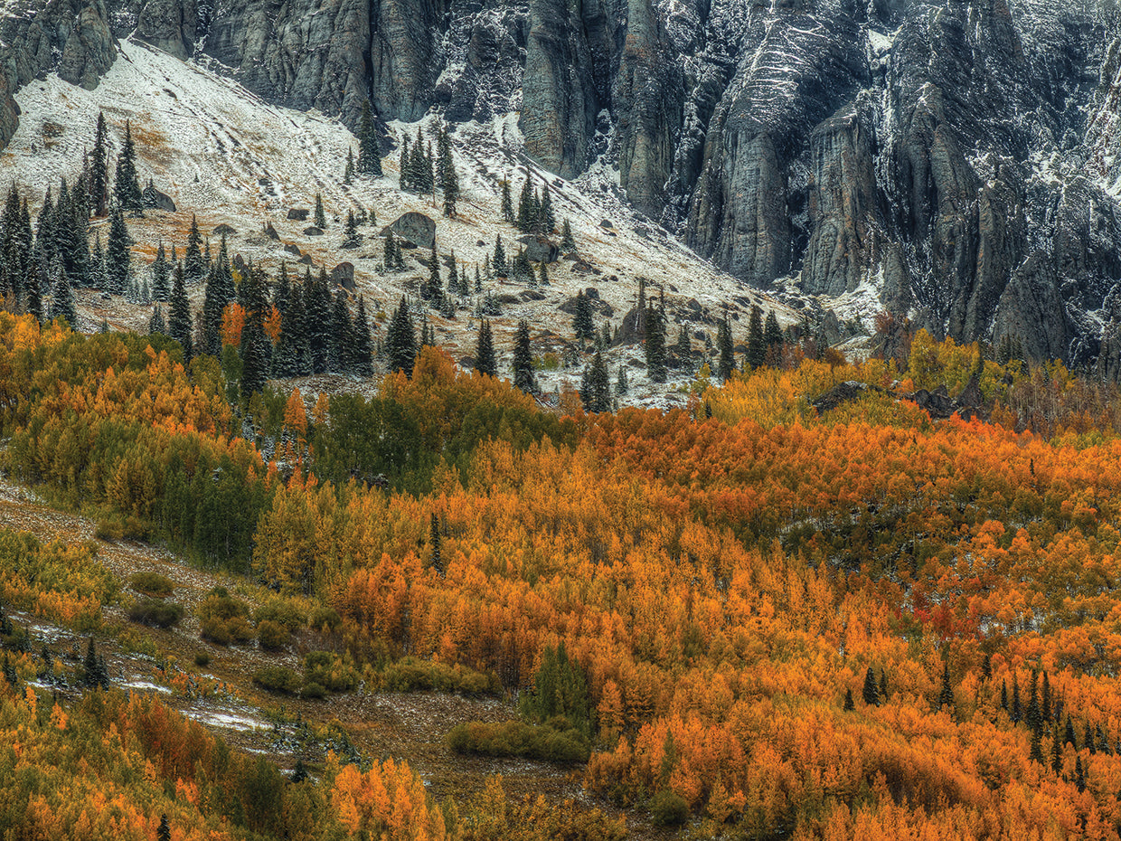 The Fragile And The Strong