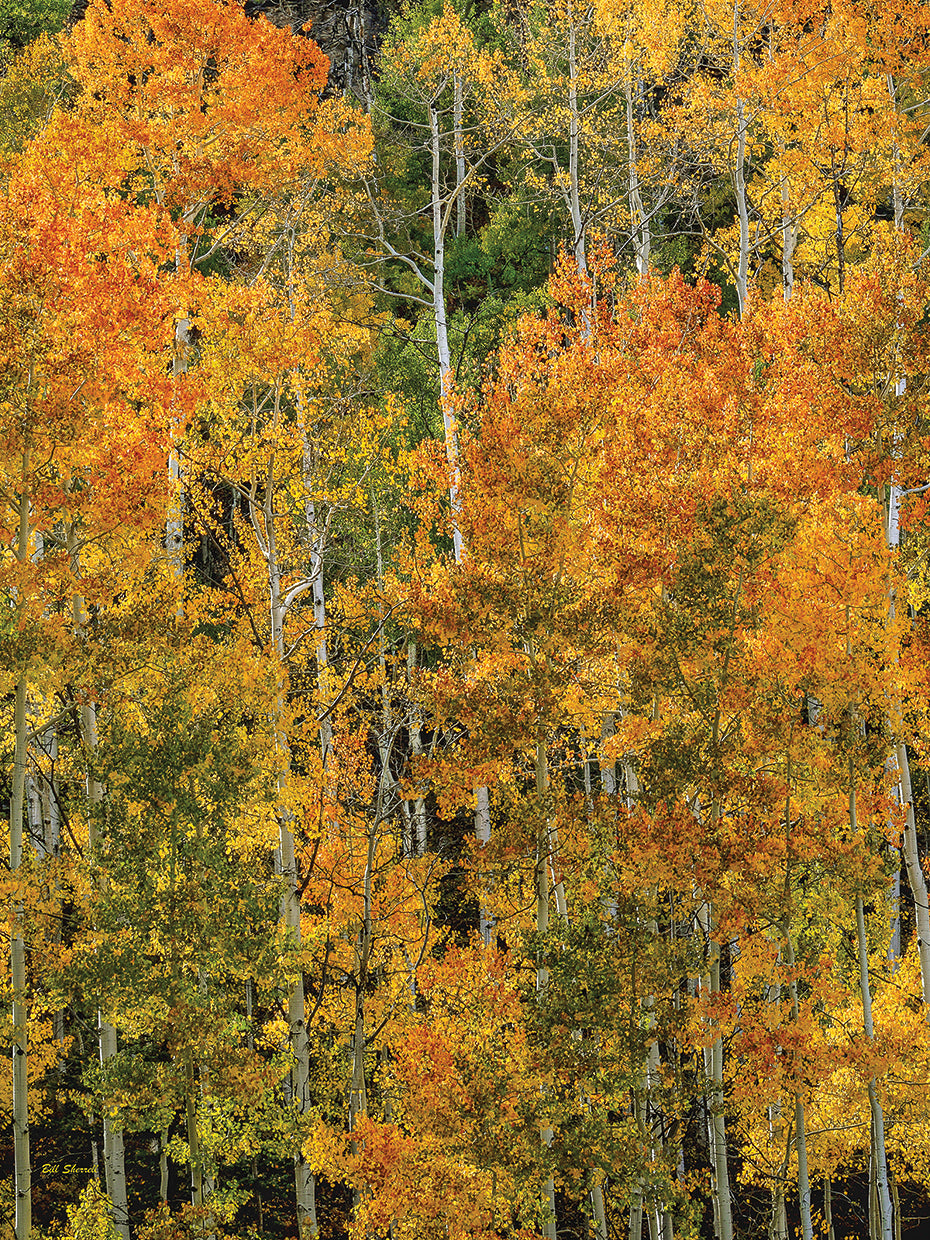 Transcending Illumination