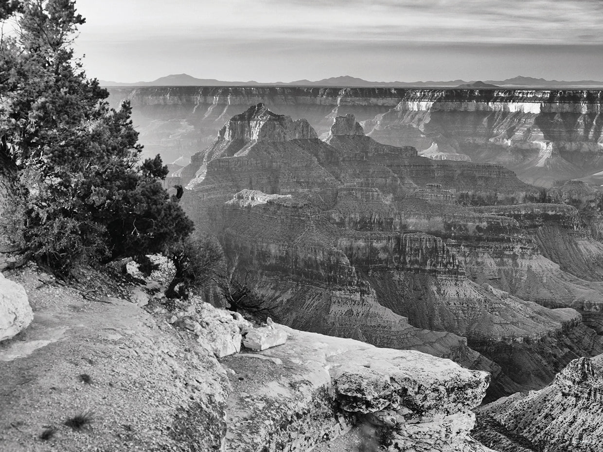 GRAND CANYON 02