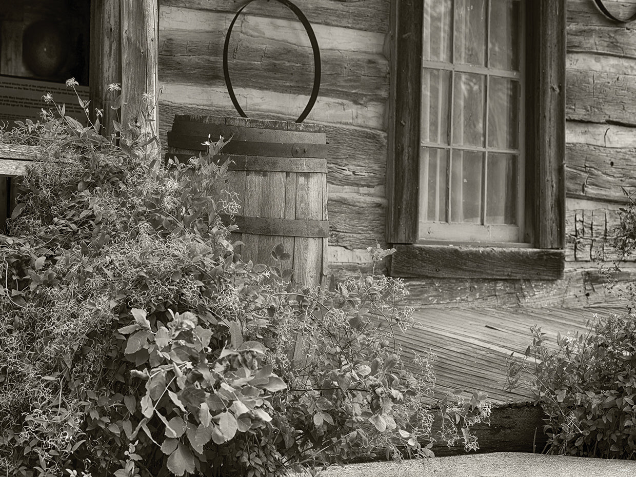 Bonanzaville B&W # 3