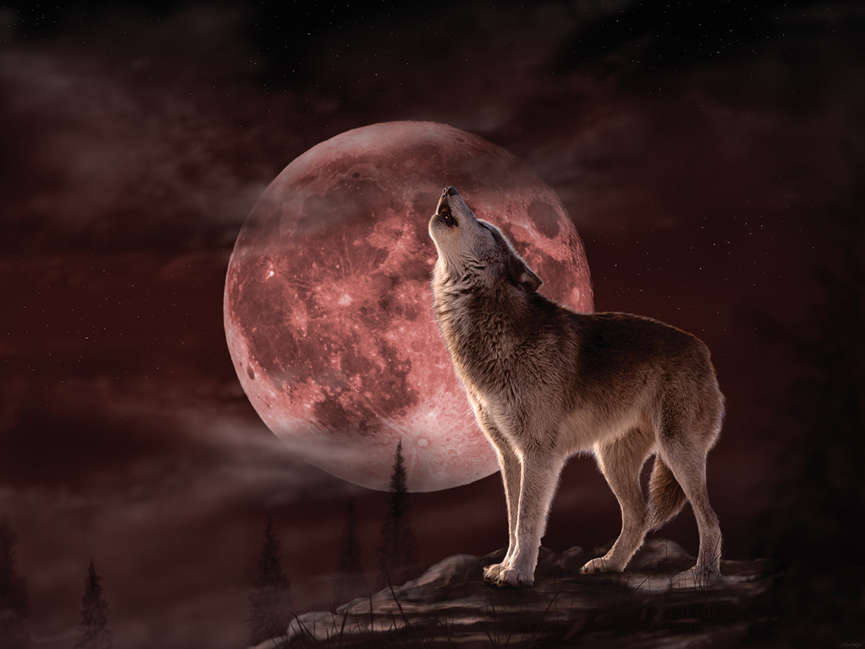 Wolf Moon