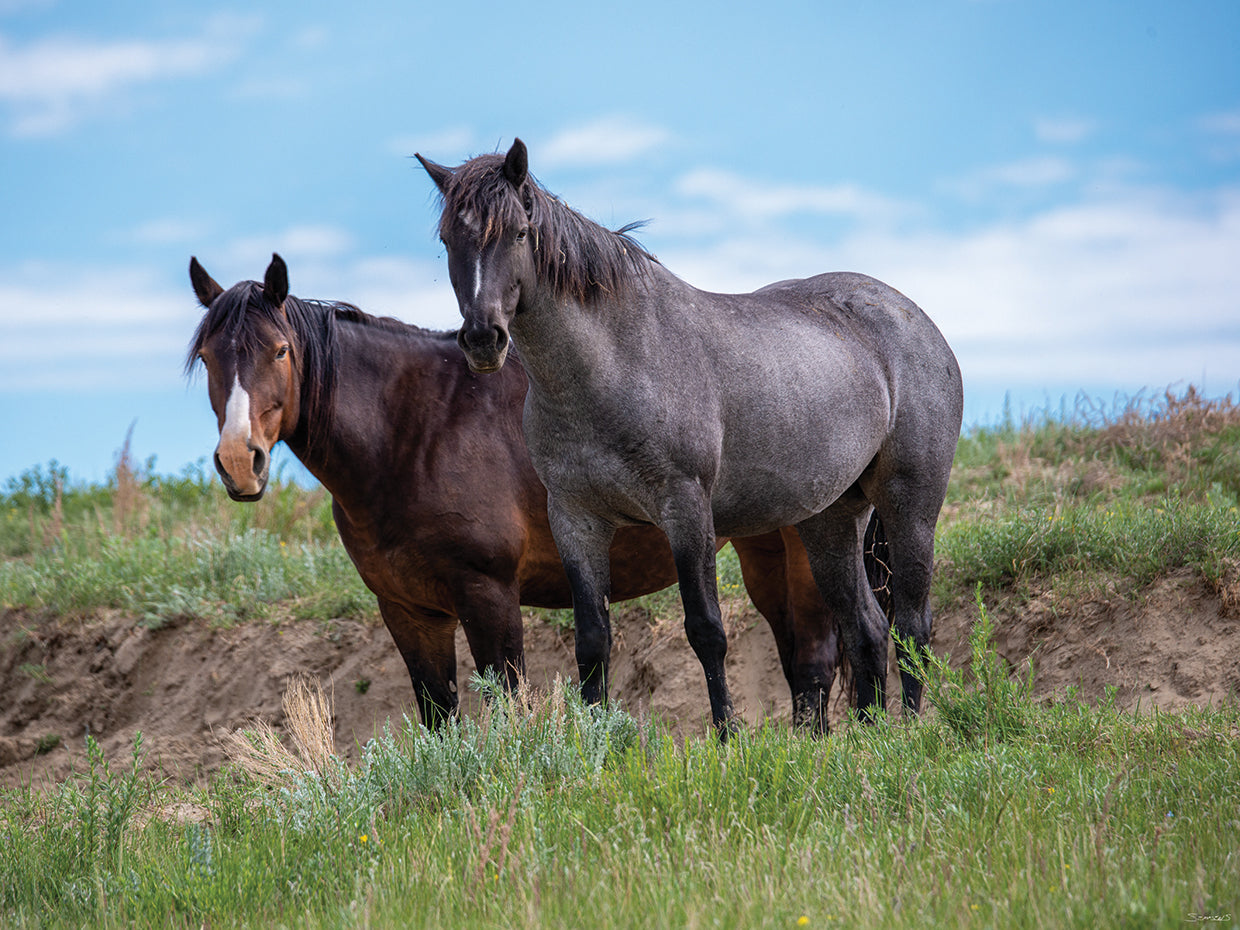 Enter the Badlands # 3