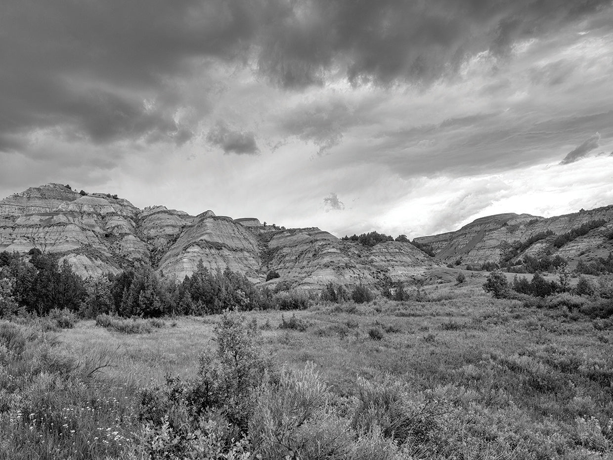 Enter the Badlands B&W # 1