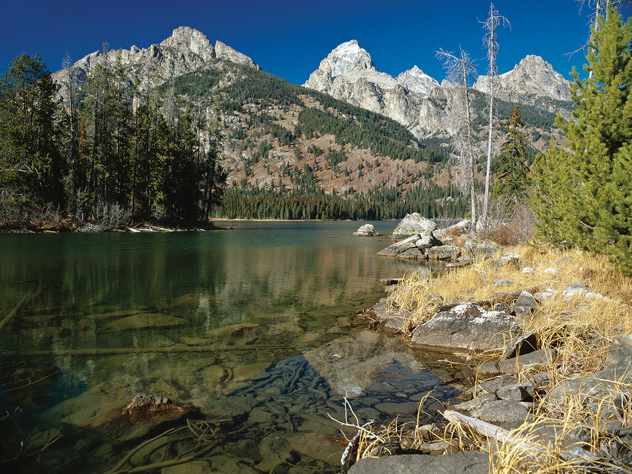 M- Teton