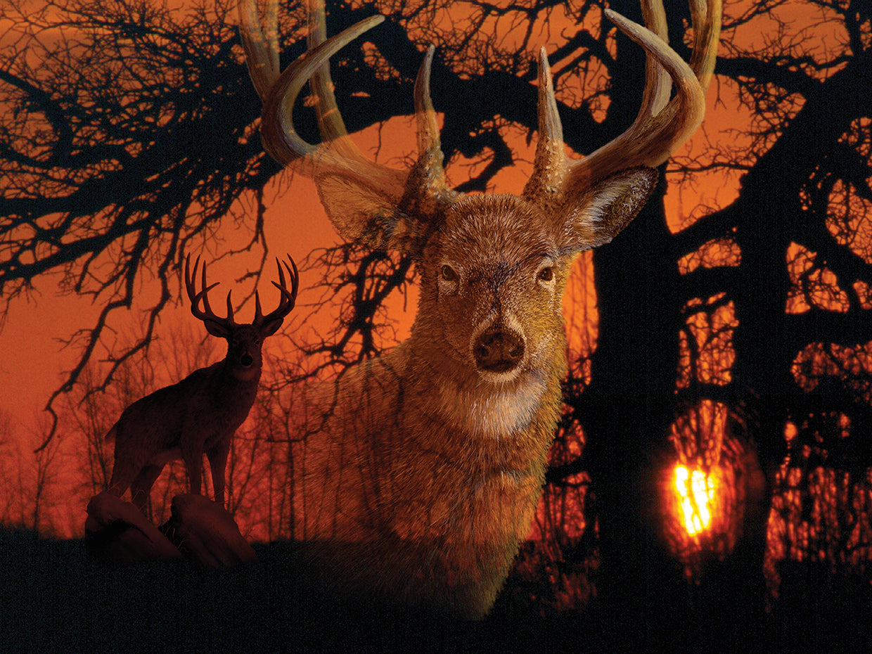 Silhouettes Of Autumn