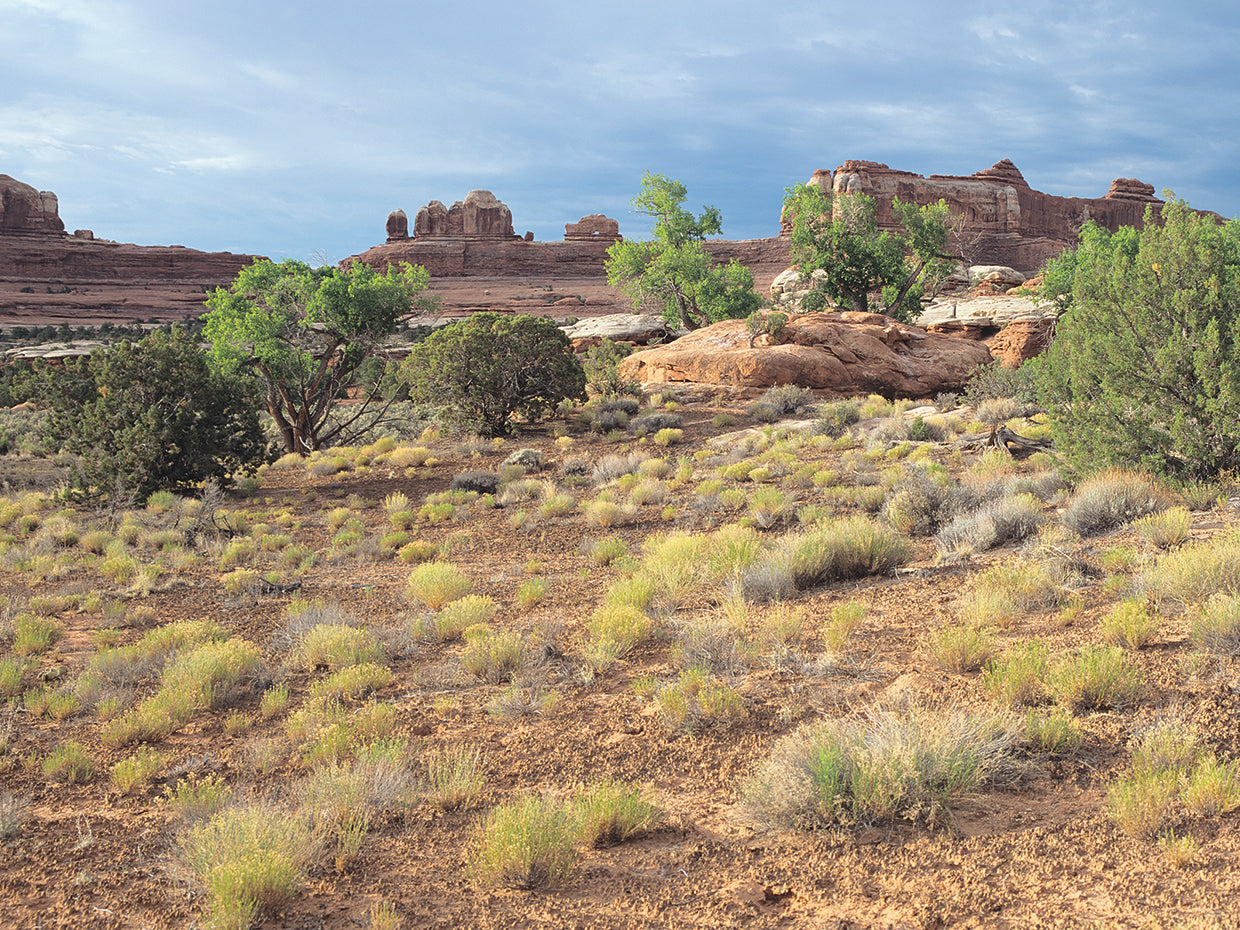 Canyonland 15