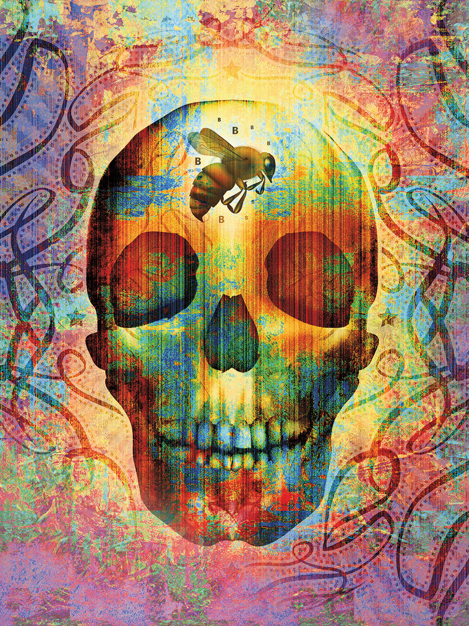 Bee Skull
