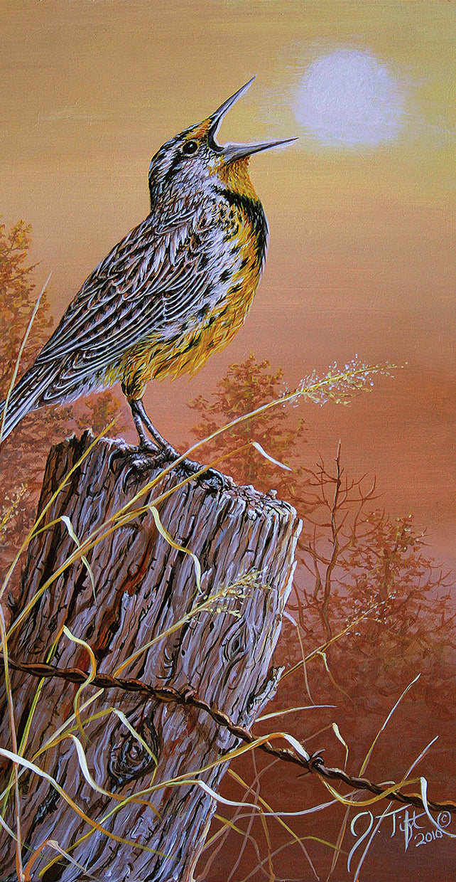 Meadowlark Painting