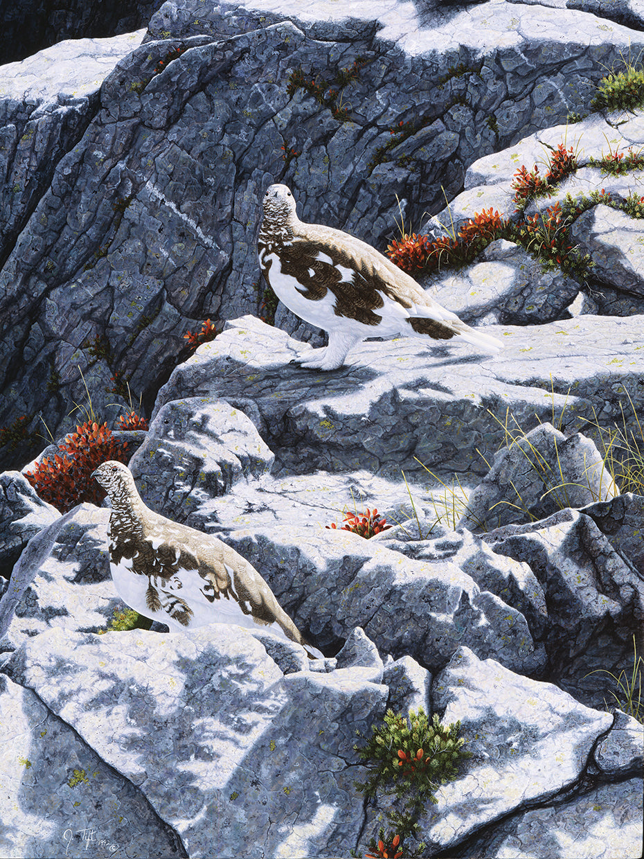 Ghosts Of The High Country