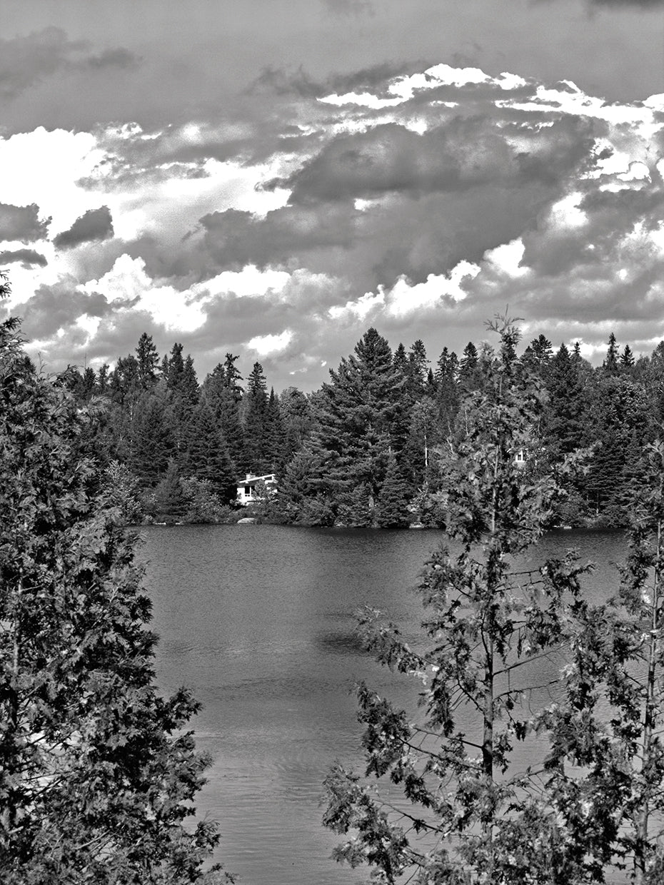 B&W Lake View
