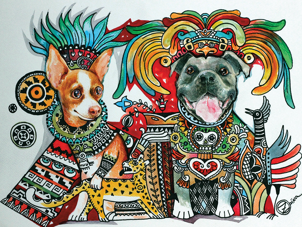 Chihuahua and Pitbull in Mexico