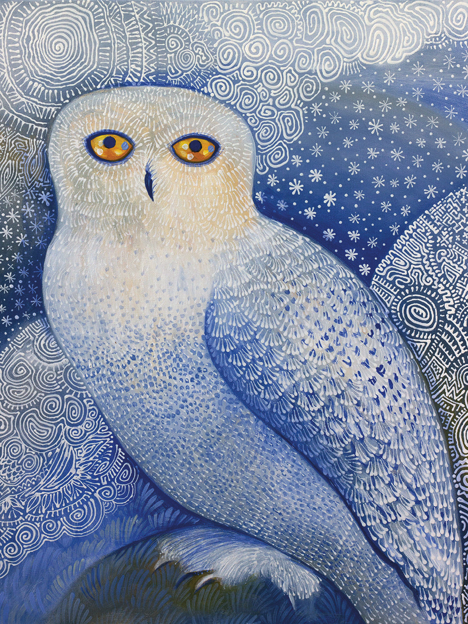 Snowy Owl