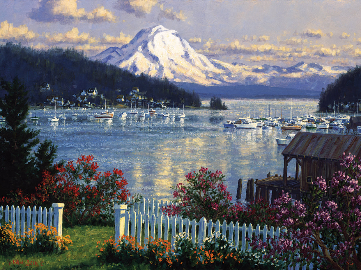 Gig Harbor Rhodedendrums