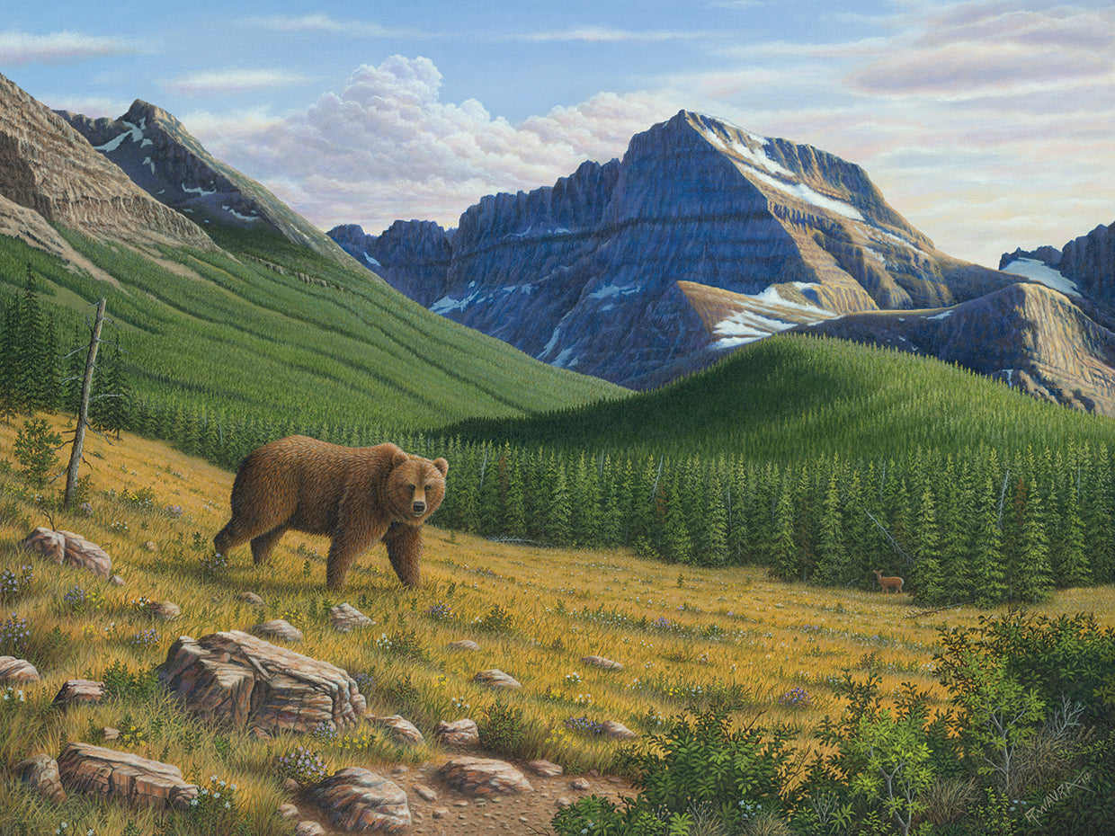 Heading Down The Slope