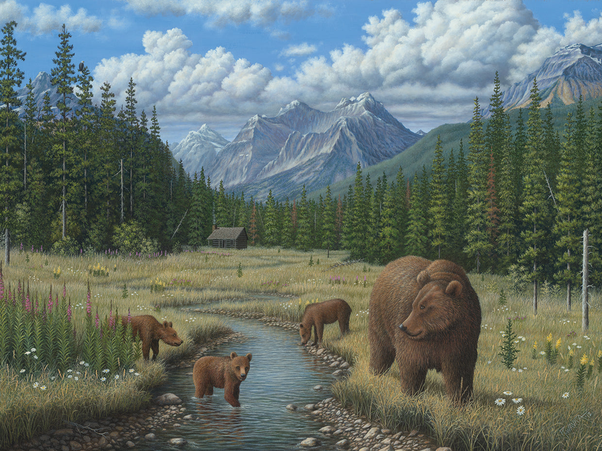 Checking Things Out - Grizzlies