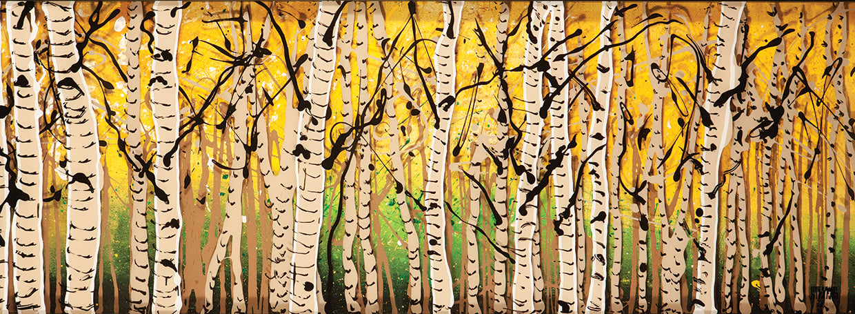 Panor Aspens Fall Begins