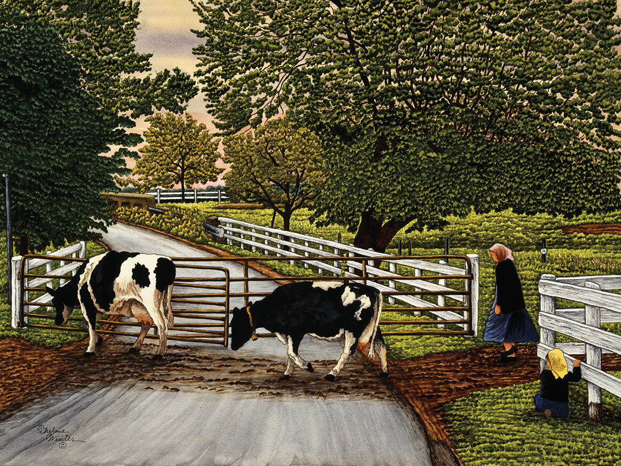 Cattle Crossing