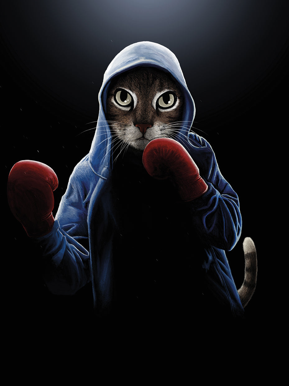 Boxing Cool Cat