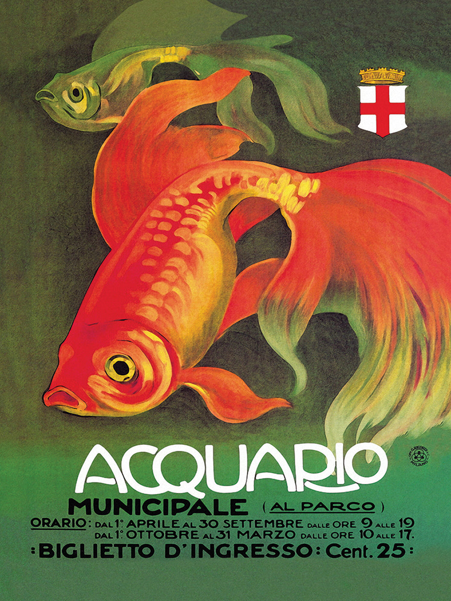 Acquario