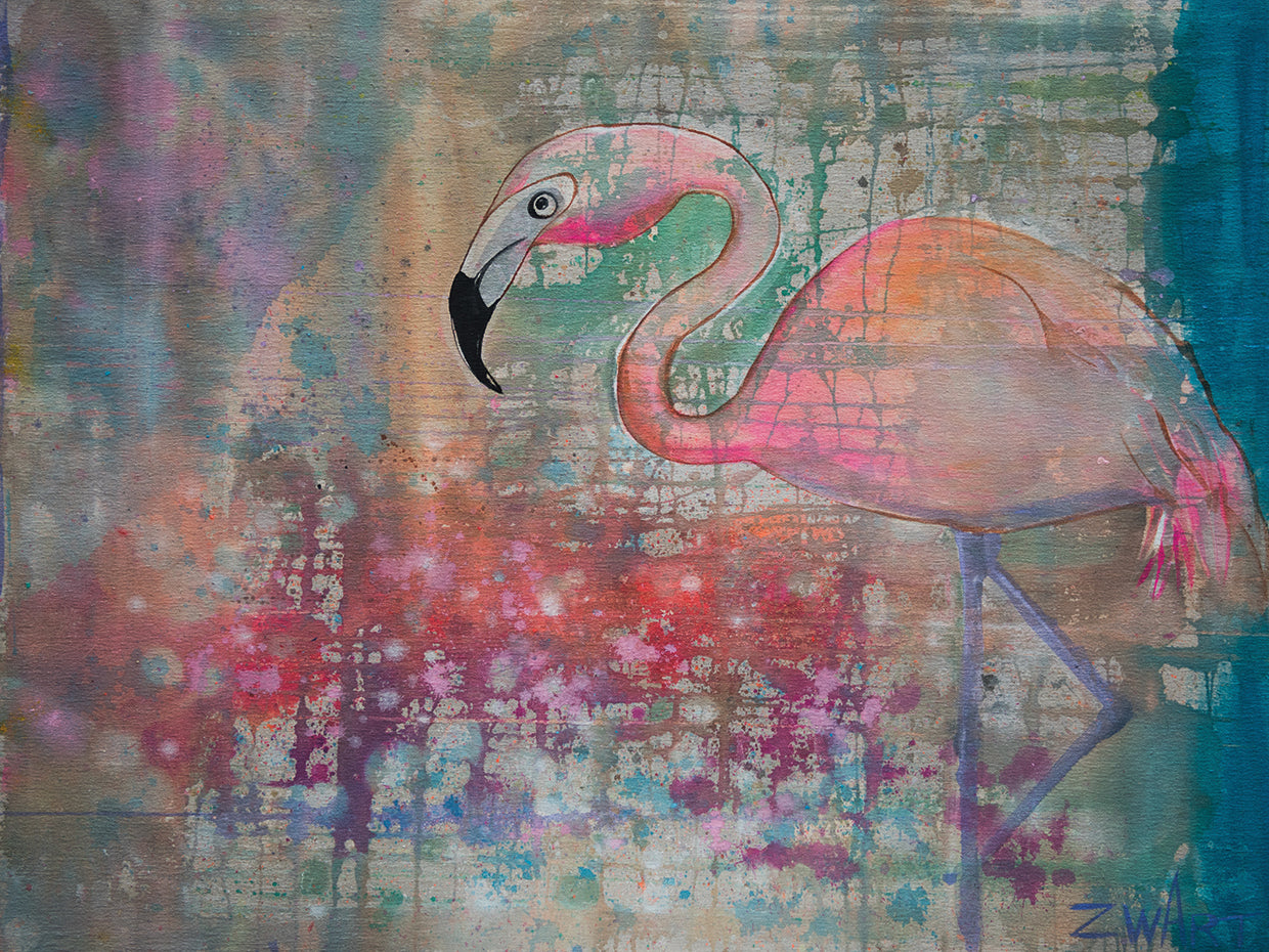 Flamingo Transparent