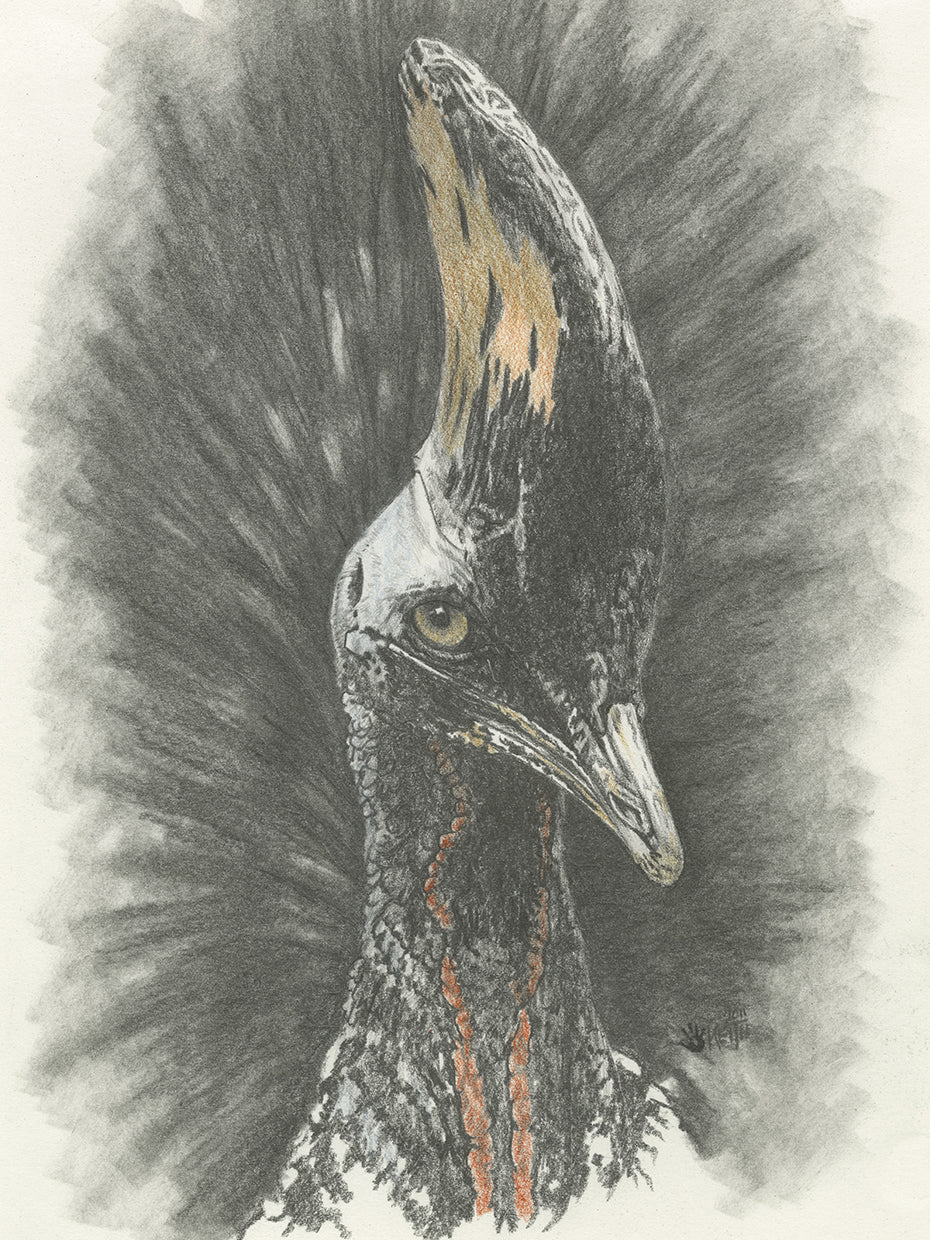 Marvelous, Simply Marvelous