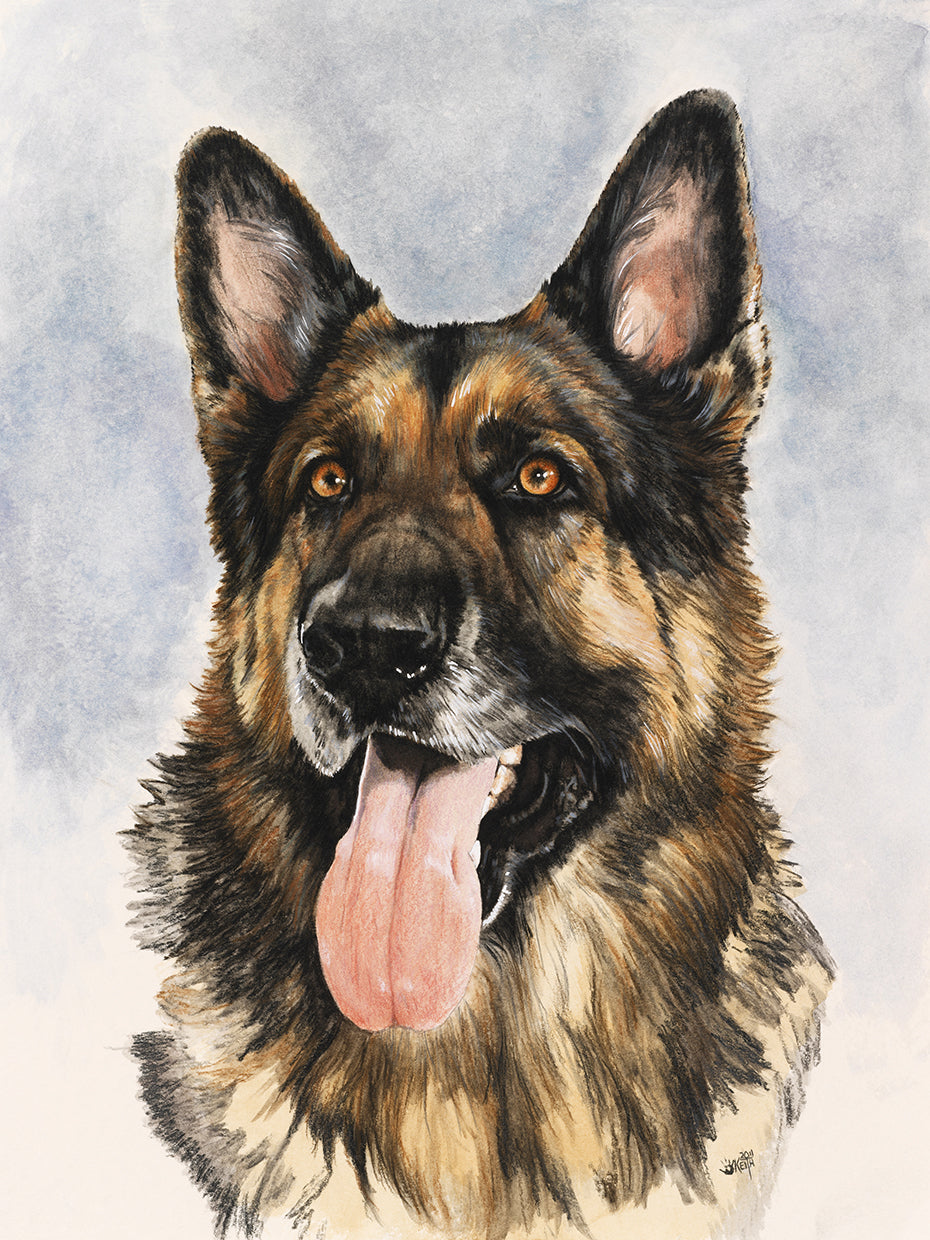 German Shepherd
