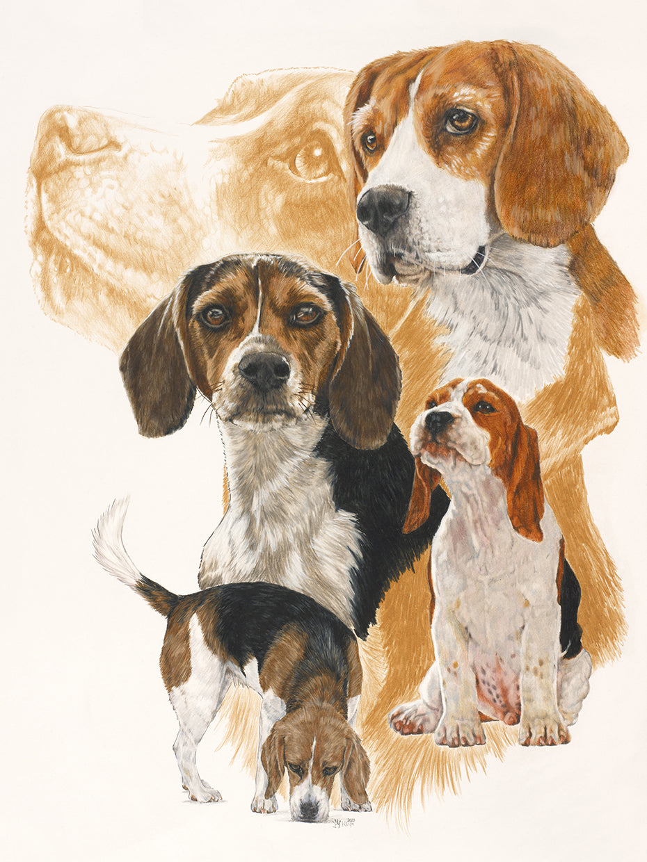 Beagle and Ghost Image